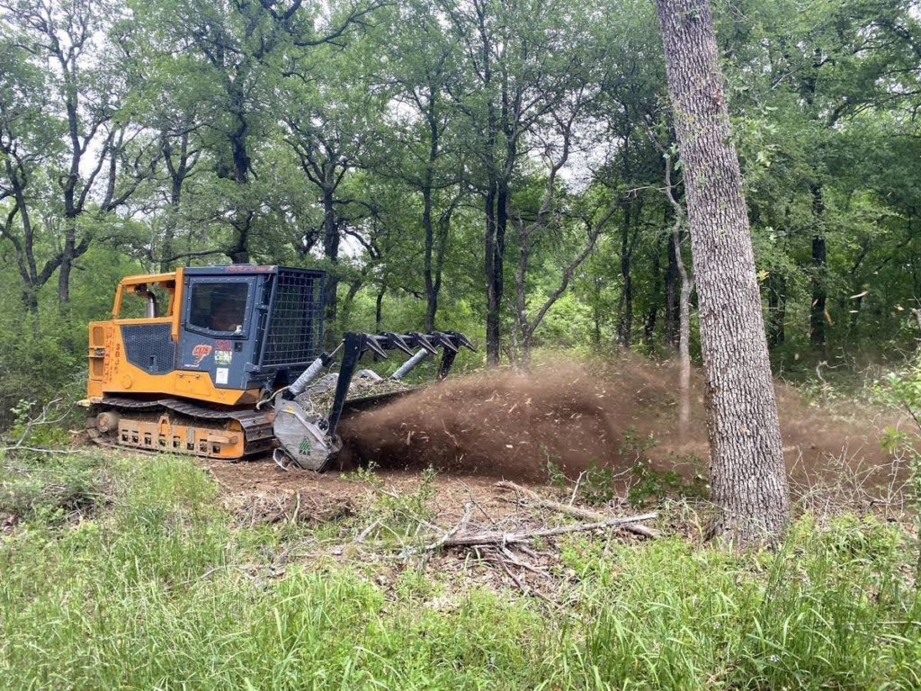 A tracked forestry mulcher machine grinds and clears brush and small trees in a wooded area, providing efficient tree care as debris and dust fill the air.