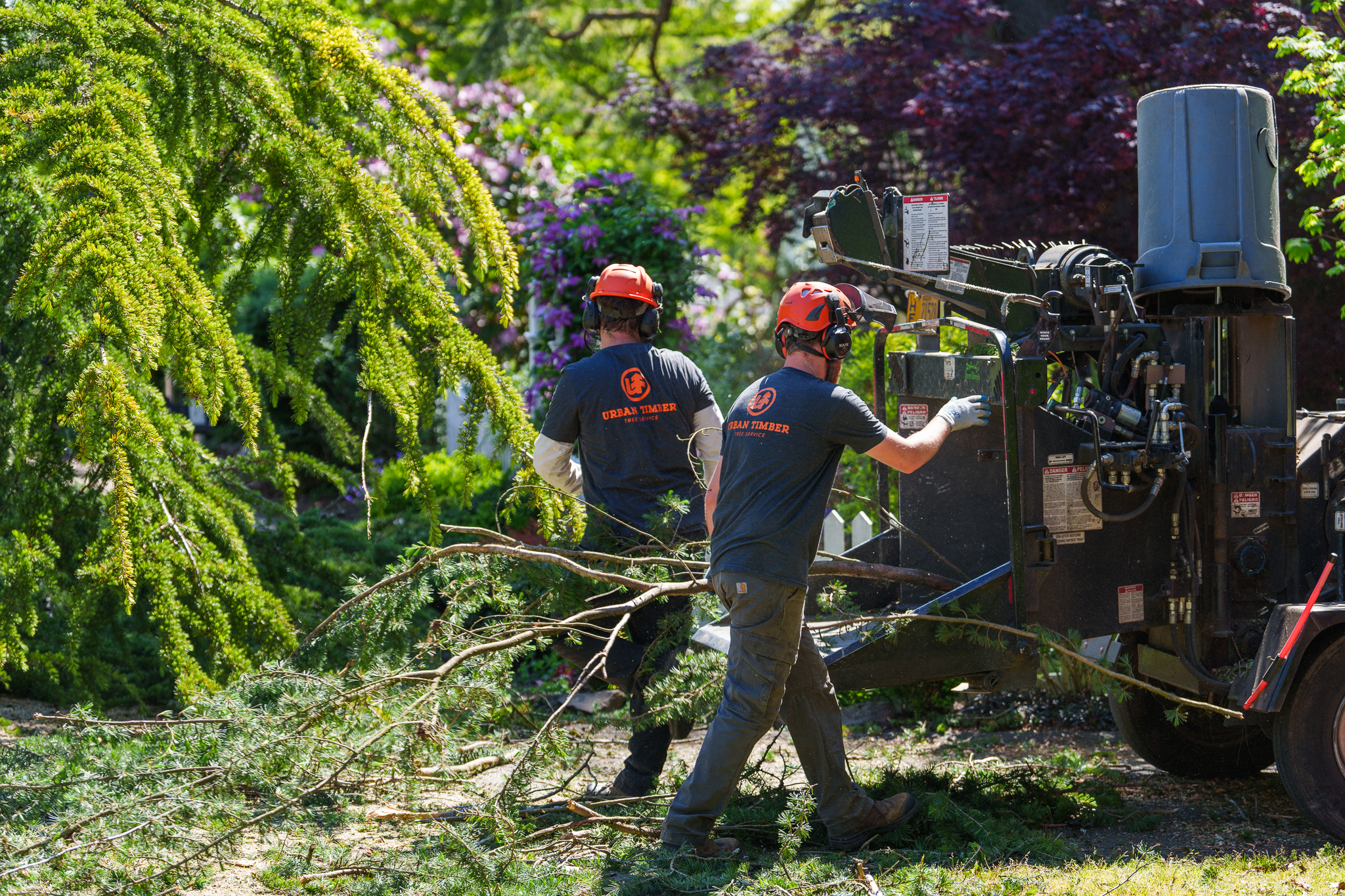 One Trusted Tree Service Across the Portland Metro
