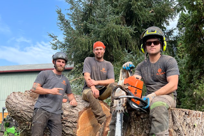 Three arborists posing with chainsaws and safety gear on a large fallen tree.