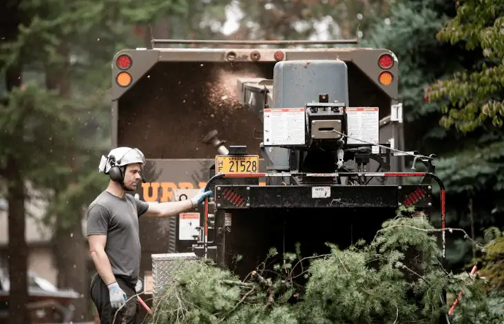 Worker feeding branches into a wood chipper.