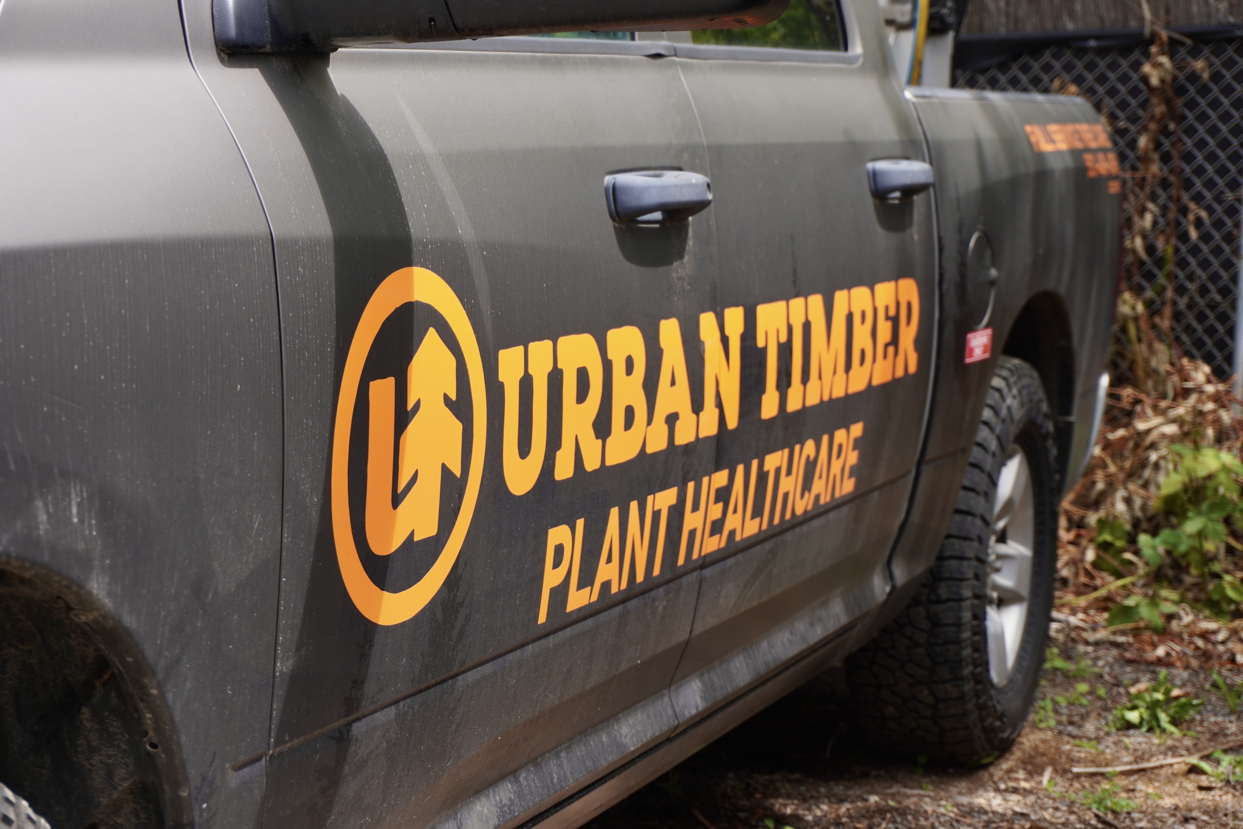 Tree Cutting in OHSU