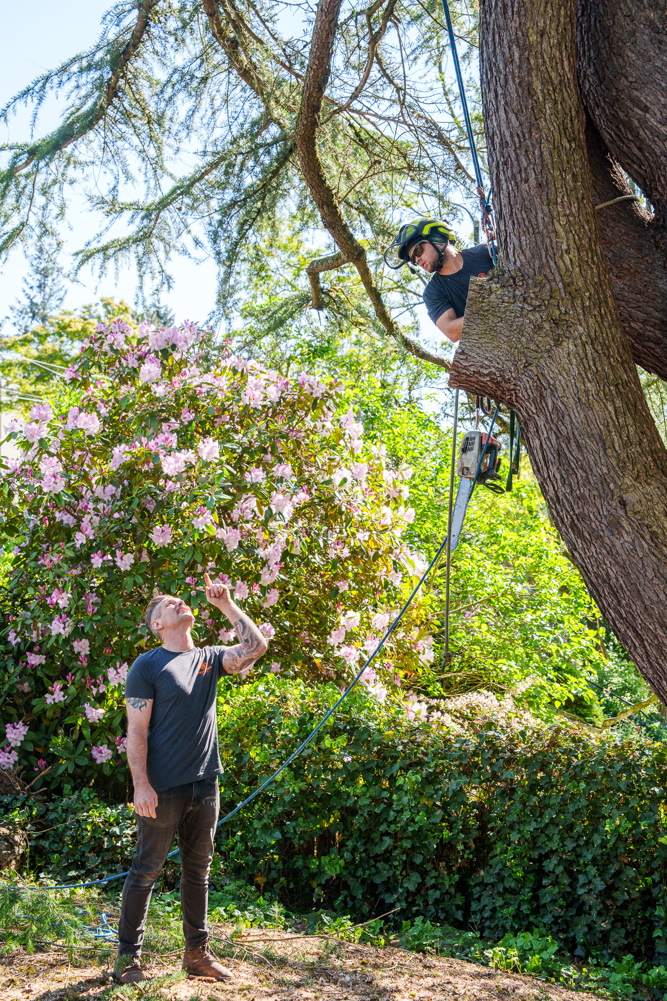 Portland Neighborhoods We Serve