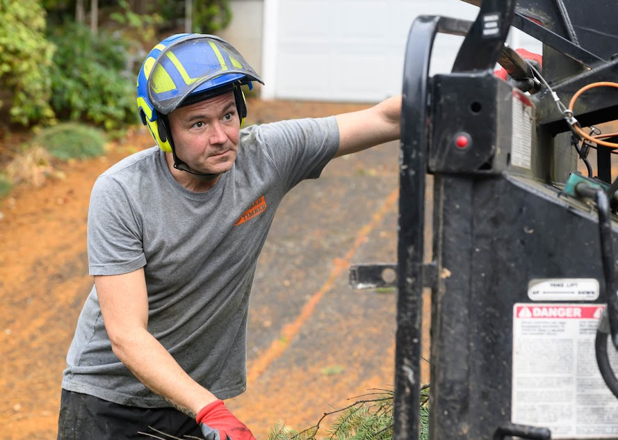 Worker wearing a safety helmet loads tree branches into a truck during yard cleanup.