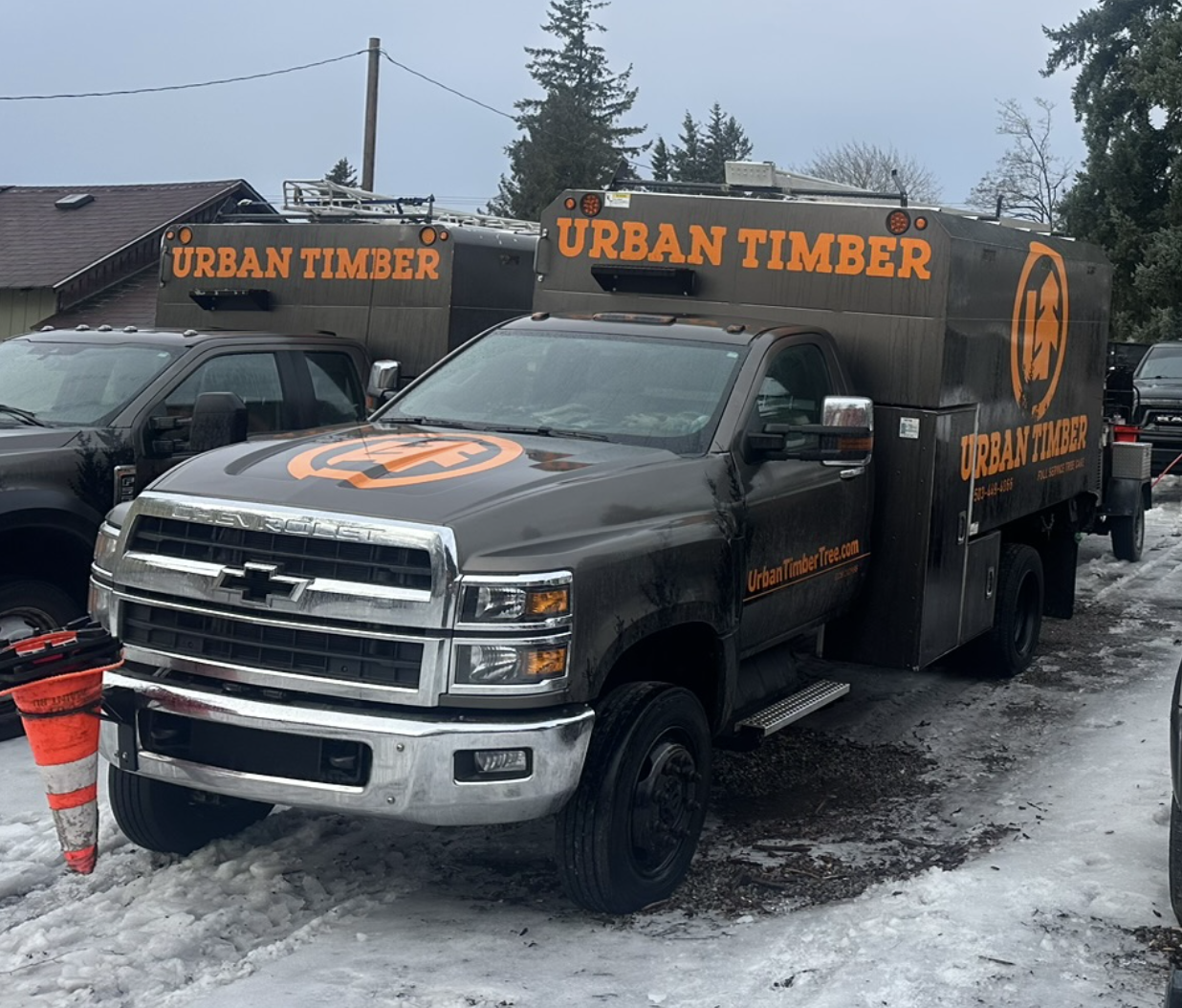 Urban Timber Tree Service truck and equipment parked on a snowy residential property.